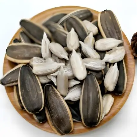 Sunflower Seeds 2.png