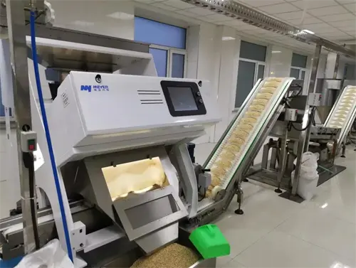 How each pine nut is born？