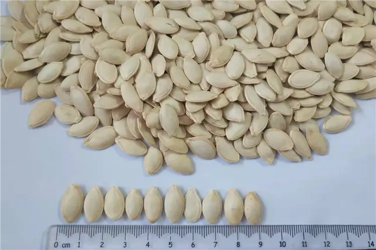 Pumpkin Seeds Shine Skin in Shell (5)