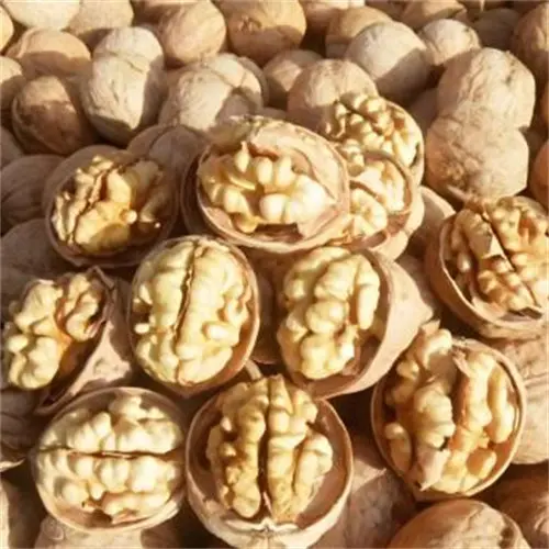 Global import proportion of pine nuts, walnuts and peanuts
