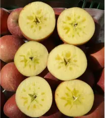 Choose Additive-Free Dried Apples And Enjoy Nature's Bounty.