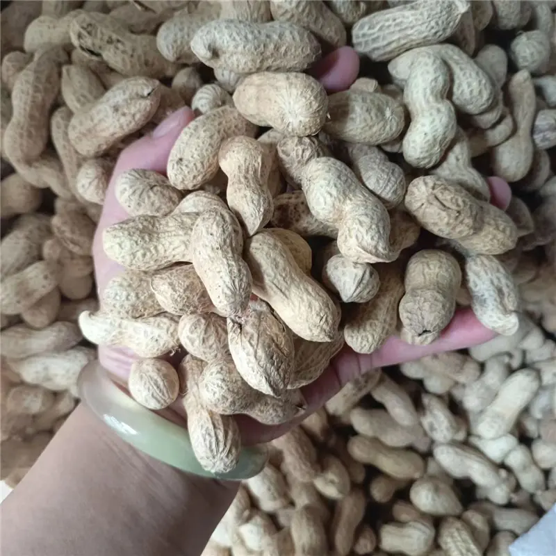 Peanuts in Shell (3).jpg