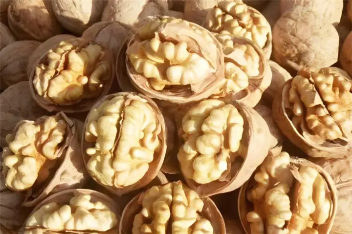 Walnut Kernels (8)