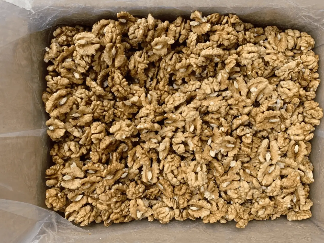 Key points of walnut production data in October 2025