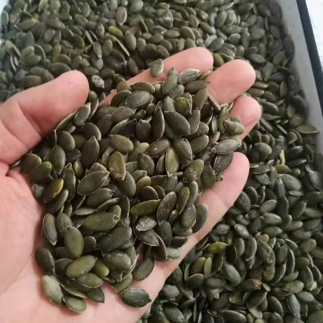 Pumpkin Seed Kernels GWS (2).jpg