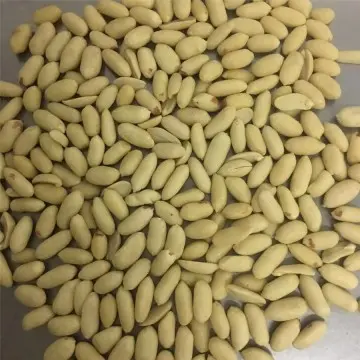 Blanched and Red Peanut Kernels Type