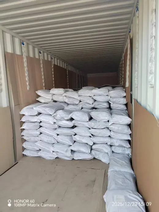 pumpkin seeds（2）.png