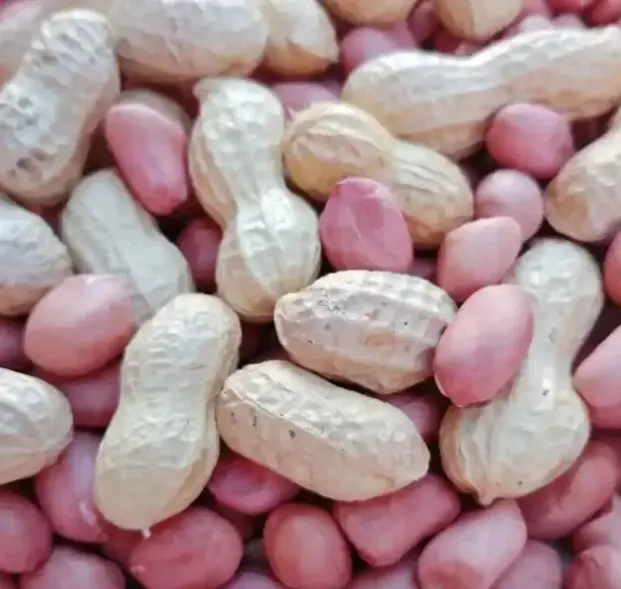 The nutritional value of a single peanut