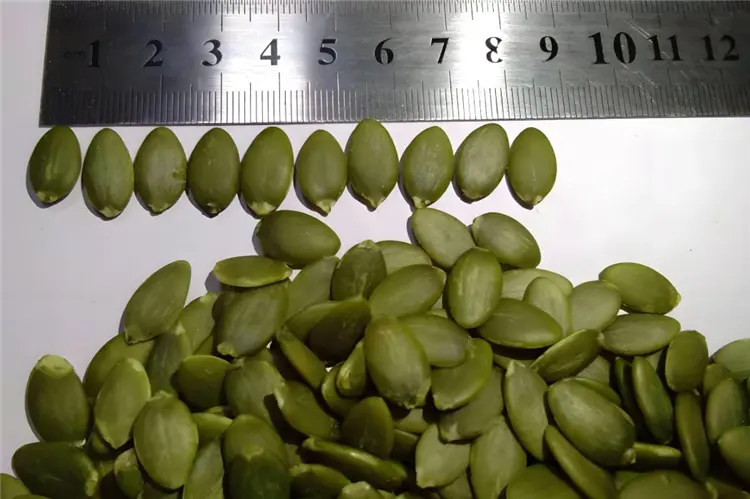 Pumpkin Seed Kernels Shine Skin (3)
