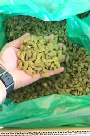 Eating raisins like this doubles their effectiveness! (1).png