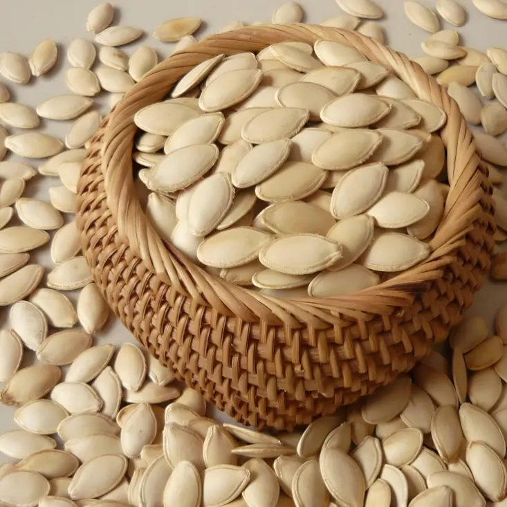 Pumpkin Seeds Shine Skin in Shell (2).jpg