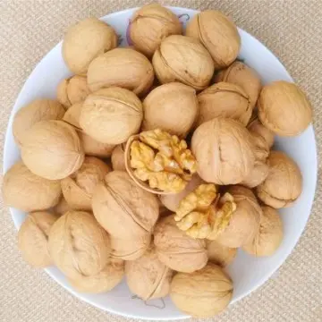 China Origin Unwashed Walnuts In Shell