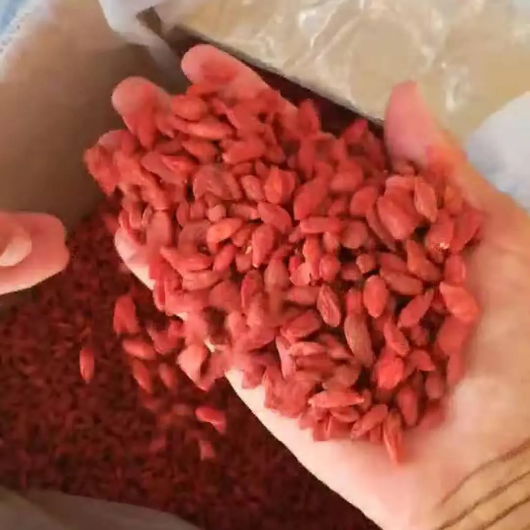 Dried Goji Berries (6).jpg