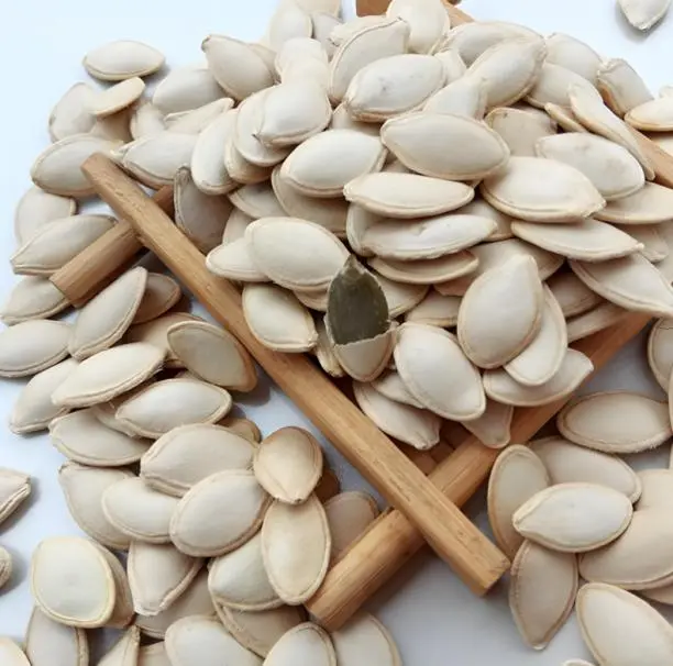 pumpkin seeds（1）.png