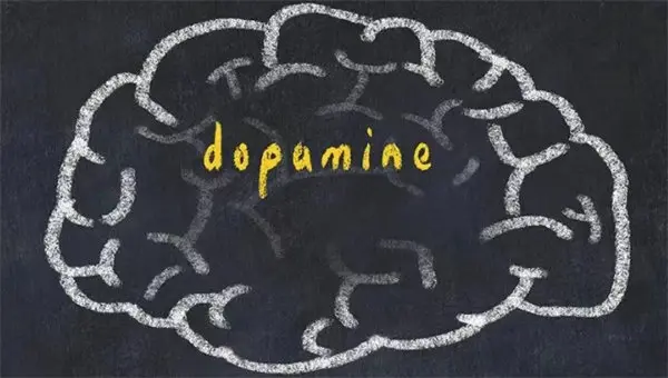 A handful of sunflower seeds every day will benefit your blood vessels and skin! To "eat" your way to health, keep these tips in mind.