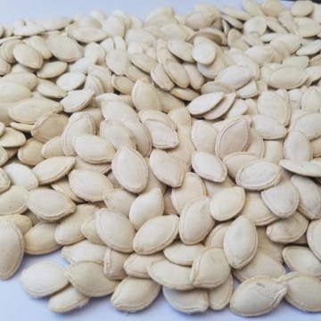 Pumpkin Seeds Shine Skin In Shell