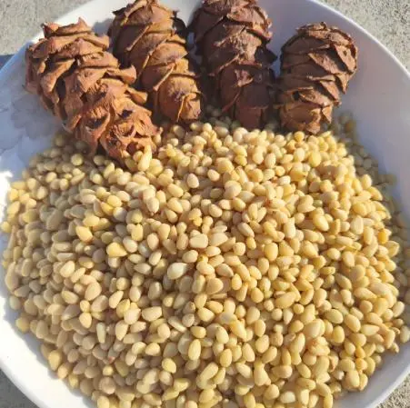 Global import proportion of pine nuts, walnuts and peanuts