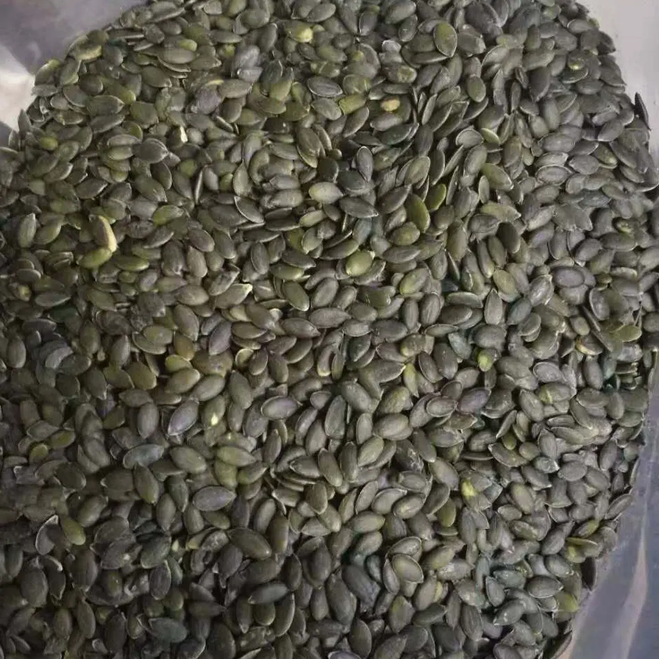Pumpkin Seed Kernels GWS (3).jpg