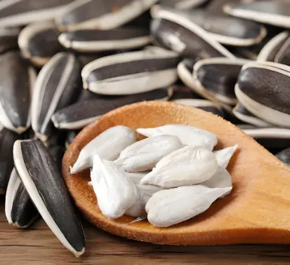 sunflower seed (2).png