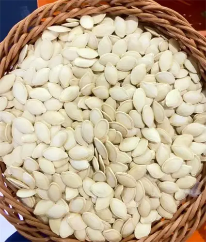 Savor the charm of pumpkin seeds