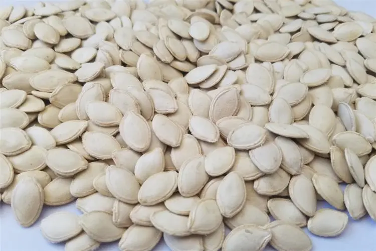 Pumpkin Seeds Shine Skin in Shell (6)