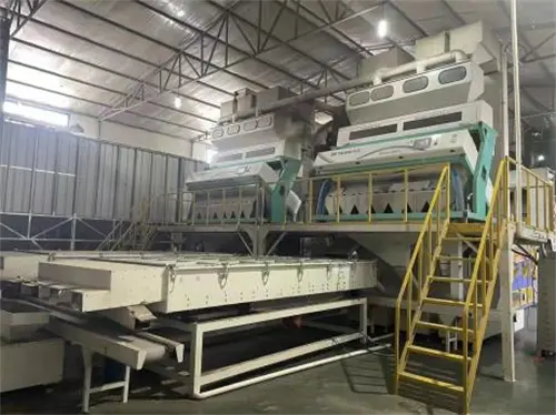 You are right, we are the trustworthy pumpkin seeds exporter